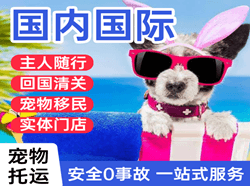 乌鲁木齐地窝堡航空运输国际宠物托运 【国